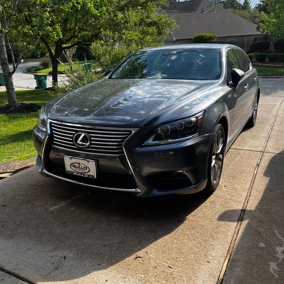 Meet your Posher, Jackson - Picture 4 of 11